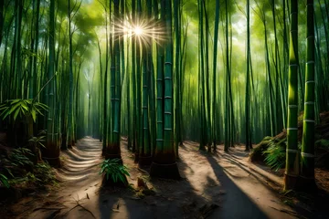Gartenposter bamboo forest in the morning © Momina