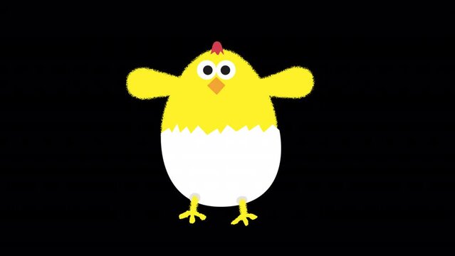 Yellow cute chicken dancing inside egg 2d cartoon animation alpha channel