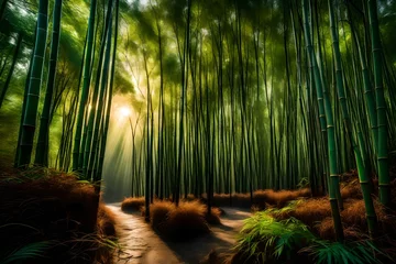 Badezimmer Foto Rückwand bamboo forest in the morning © Momina