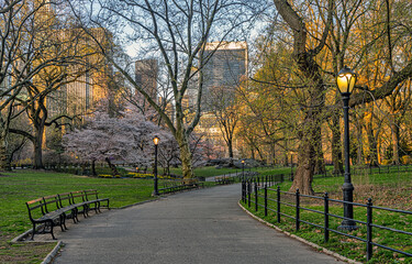Central Park in spring - 781558733