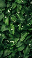 Fototapeta premium white flowers on a green background.