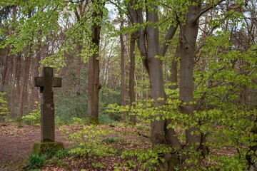 old cemetery in the woods, Bad Neuenahr 