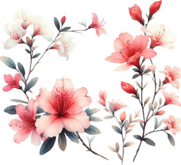 watercolor pink branch with flowers in vector