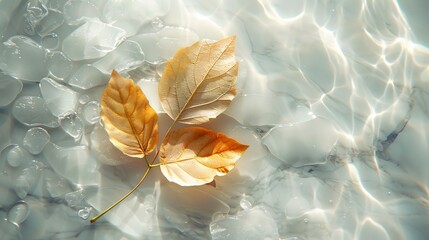 Closeup of yellow,  color autumn  leaf floating on top of blue water in shallow fountain.