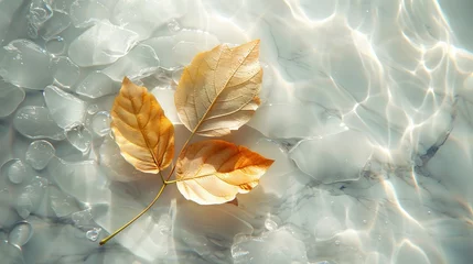 Fotobehang Closeup of yellow,  color autumn  leaf floating on top of blue water in shallow fountain. © Ruslana