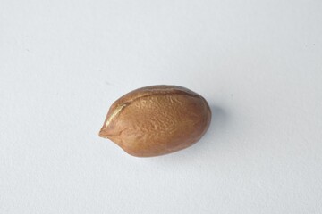 Grão de amendoim em close-up em fundo branco