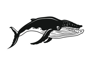 Whale Cut Out Silhouette - Vector Character Mascot
