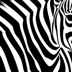 Fototapeta na wymiar zebra background texture.