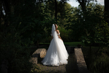 Bride in wedding dress stands on a stone footbridge
