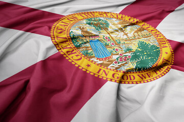 big waving national flag of florida state. macro shot