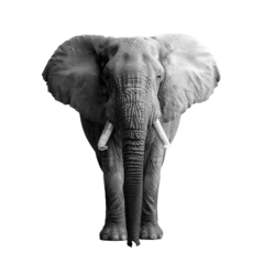 Foto op Aluminium éléphant roi de la jungle, avec ses défenses gris super © David