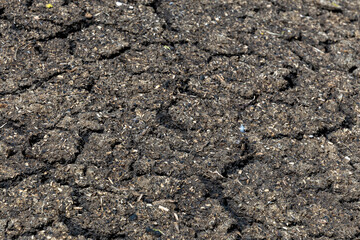 Dry soil plain texture background