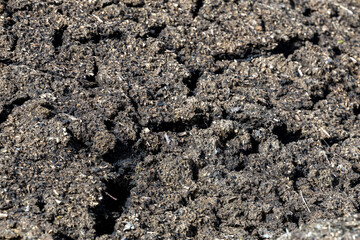 Dry soil plain texture background