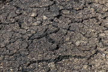 Dry soil plain texture background