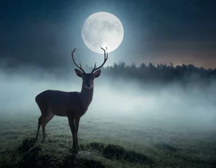 Foto op Aluminium A deer standing in the middle of a foggy field at night with a full moon in the sky behind © Priyanka