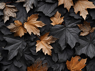 Backdrop displaying the grunge texture of dry maple leaves in shades of gray for autumn