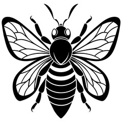 black and white bee illustration 