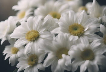 Obraz premium Bouquet of white flowers close up