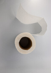 toilet paper roll, white background