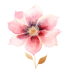 pink flower