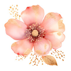 pink and white flower