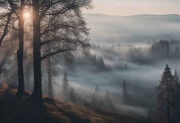 Amazing fog landscape in black forest panorama banner long