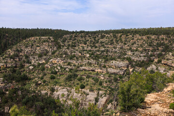 Fototapeta na wymiar Walnut Canyon National Monument 