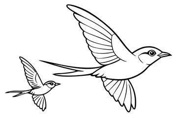 timalia-fulvetta-fiying-on-sky-bird-mother---child bird black-border vector illustration