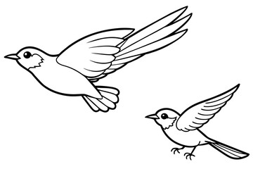 timalia-fulvetta-fiying-on-sky-bird-mother---child bird black-border vector illustration