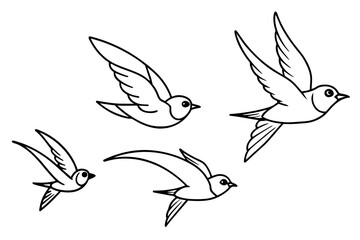 timalia-fulvetta-fiying-on-sky-bird-mother---child bird black-border vector illustration