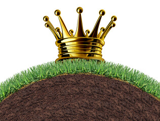 Best Lawn Award and excellence in Healthy grass with winning lawncare for controlling weeds and fertilizing and aerating with number one landscaping and gardening solutions with a royal crown - 781599112