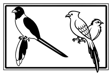 quetzal-trogon-motmot--out-side-of-black-border- vector illustration 
