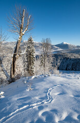 Fototapeta na wymiar Winter Gorgany massiv mountains scenery view from Yablunytsia pass, Carpathians, Ukraine.