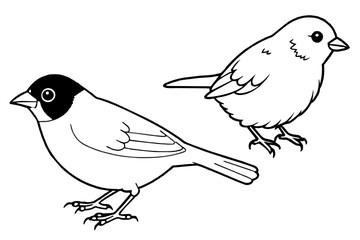 timalia-sibia-fulvetta-parrotbill vector-illustration 