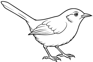 -treecreeper-nuthatch-wallcreeper-vector-illustration