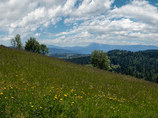 Summer Chornohora massiv mountains scenery view from Sevenei hill (near Yablunytsia pass, Carpathians, Ukraine.)