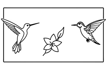 set of birds and flowers & treeswift-hummingbird-trogan--out-side-of-black-border -vector illustration