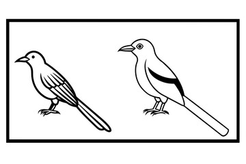 bird on a branch & woodhoopoe-prinia-warbler-out-side-of-black border vector illustration