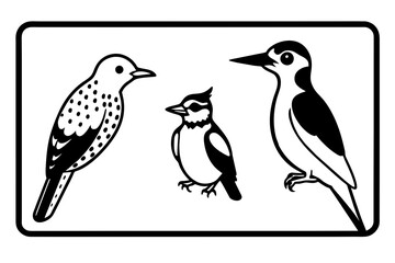 bird on a branch & woodpecker-wryneck-piculet-out-side-of-black-border vector illustration