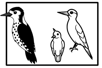 bird on a branch & woodpecker-wryneck-piculet-out-side-of-black-border vector illustration