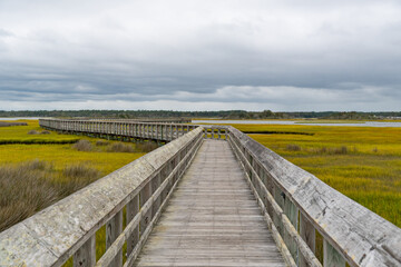 Obraz premium Topsail island pier into the intracoastal 