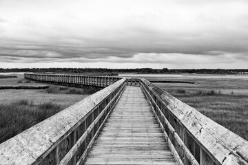 boardwalk into the marsh