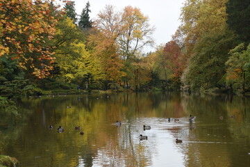 Fototapeta premium autumn in the park