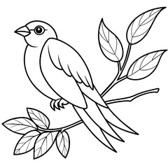 illustration of a bird  vector line art