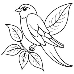 bird of paradise  vector line art