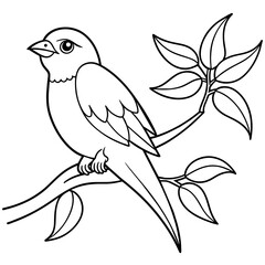 illustration of a bird  vector line art 