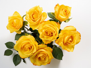Naklejka premium Yellow roses isolated on white background, top view