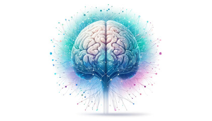 Human brain with a watercolor splash effect, depicting creativity and intelligence, perfect for educational and psychological concepts.