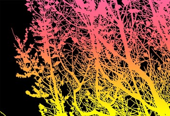 silueta arbol, arbusto, hojas, ramas, otoño, ilustracion, bosques, naturaleza, sequia, atmosfera