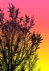 Obraz premium silueta arbol, arbusto, hojas, ramas, otoño, ilustracion, bosques, naturaleza, sequia, atmosfera